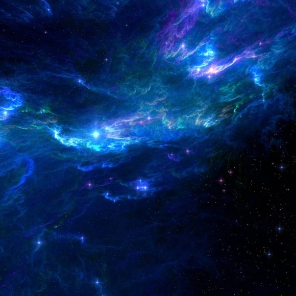 Meet your Posher, Kloie - Picture 1 of 1